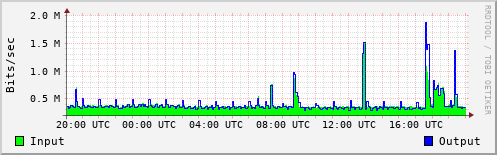 Network Activity