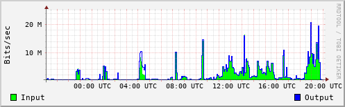 Network Activity