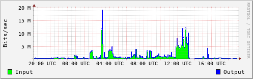 Network Activity