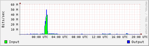 Network Activity