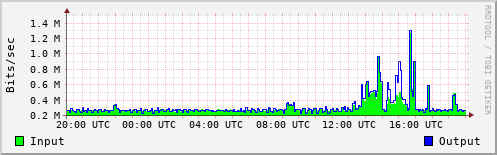 Network Activity