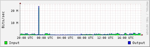 Network Activity