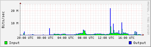 Network Activity