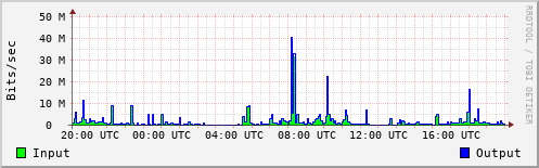 Network Activity