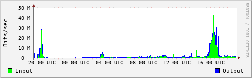 Network Activity