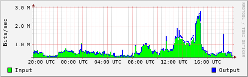 Network Activity