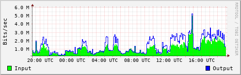 Network Activity
