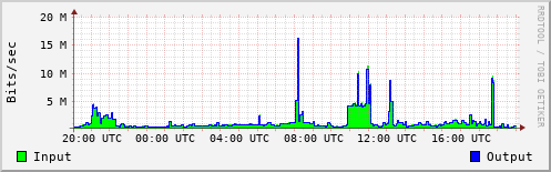 Network Activity