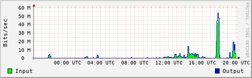 Network Activity