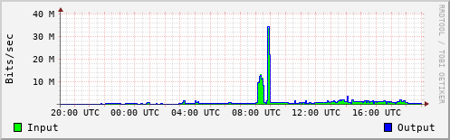 Network Activity