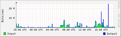 Network Activity