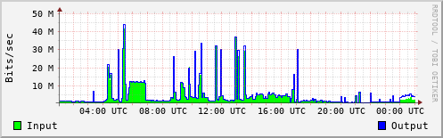 Network Activity