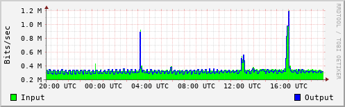 Network Activity