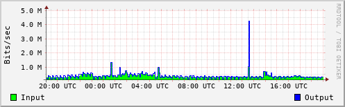 Network Activity