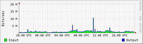 Network Activity