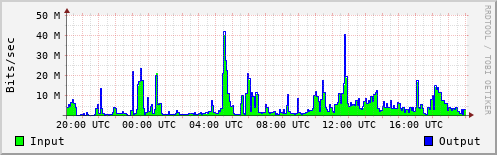 Network Activity