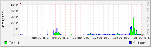 Network Activity