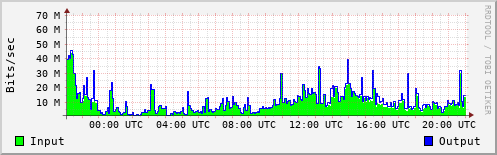 Network Activity