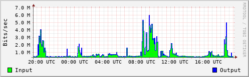Network Activity