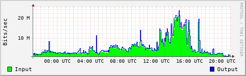 Network Activity