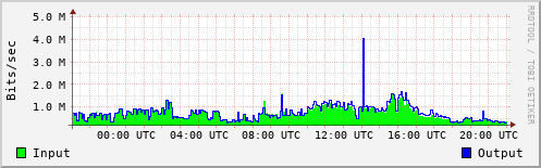 Network Activity