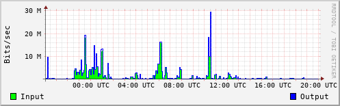 Network Activity