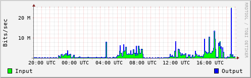Network Activity