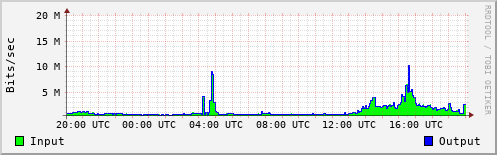 Network Activity