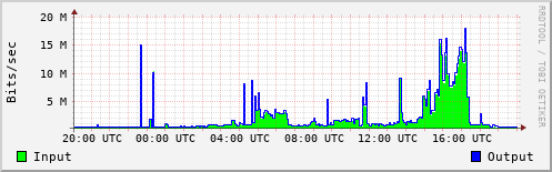 Network Activity