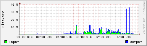 Network Activity