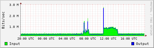 Network Activity