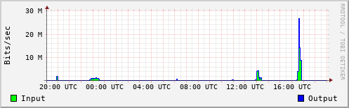 Network Activity