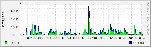 Network Activity