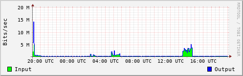 Network Activity