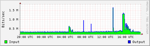 Network Activity
