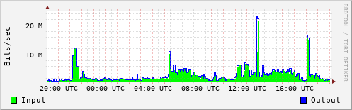 Network Activity