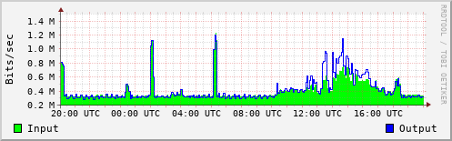 Network Activity