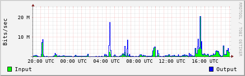 Network Activity