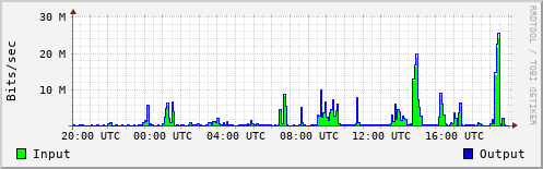 Network Activity