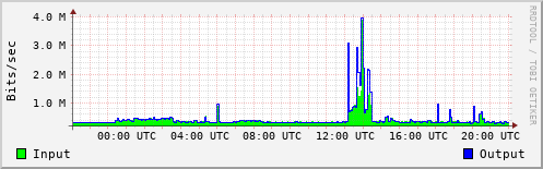 Network Activity