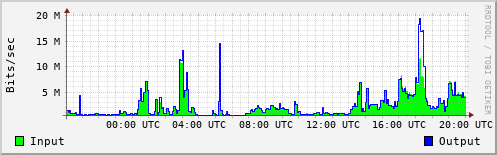 Network Activity