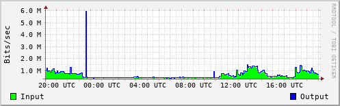 Network Activity
