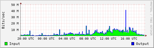 Network Activity