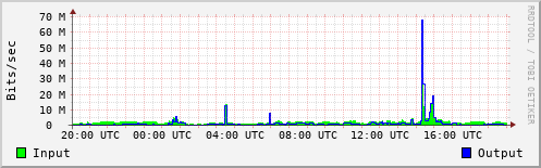 Network Activity