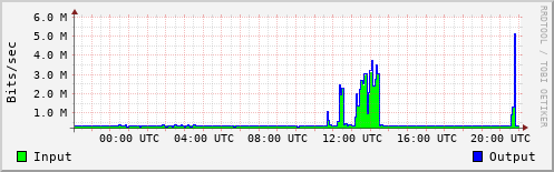 Network Activity