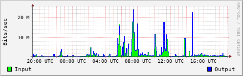 Network Activity