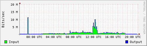 Network Activity