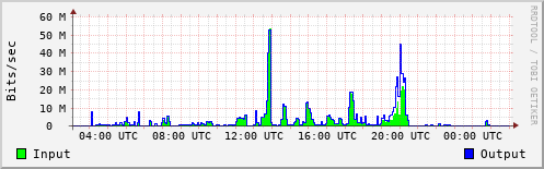 Network Activity