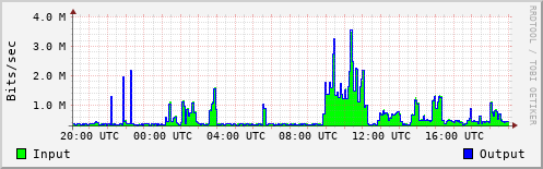 Network Activity