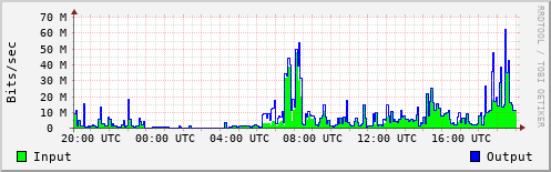 Network Activity